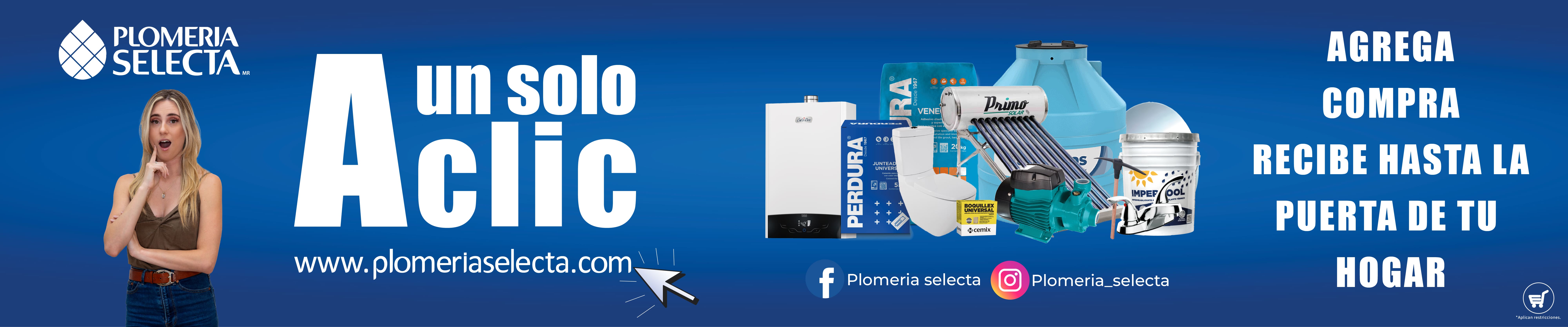 Plomeria selecta banners